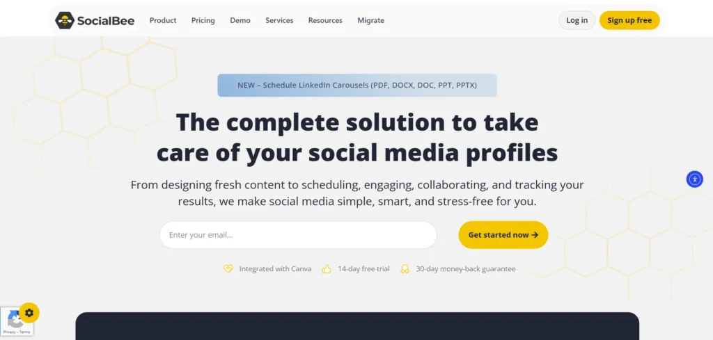 Social Media Analytic Tool - SocialBee